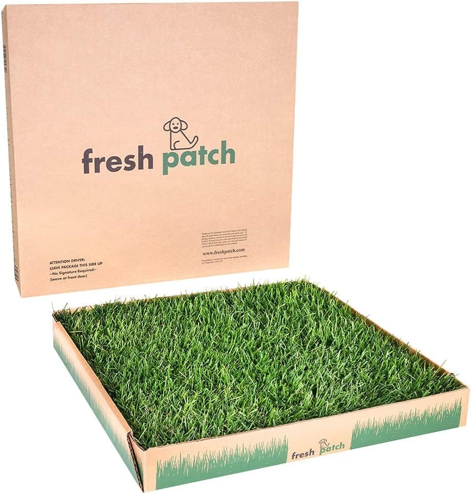 Fresh Patch Large - Real Grass Pee
