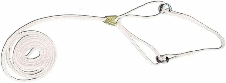 Resco Professional Martingale leash