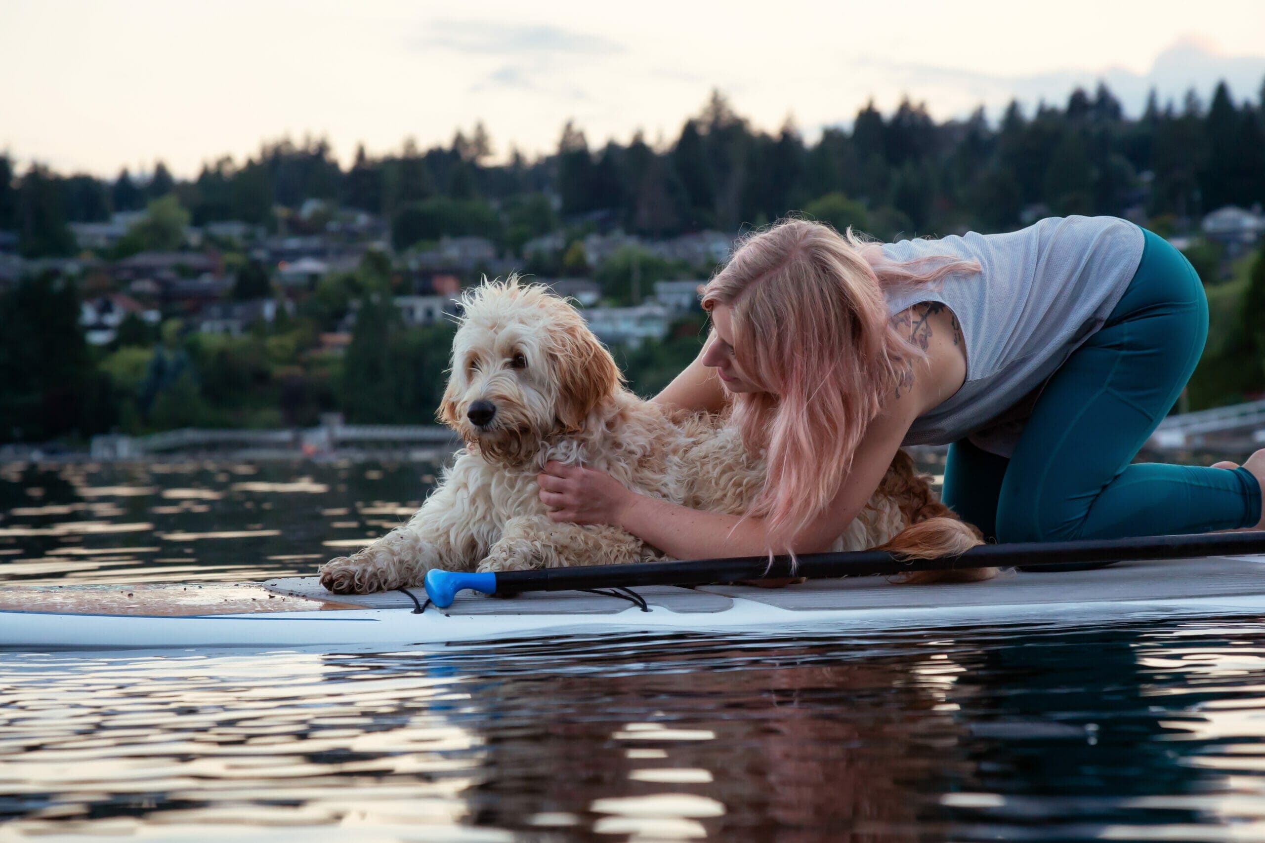 5 Best inflatable paddle boards for dogs and you! (in 2025)