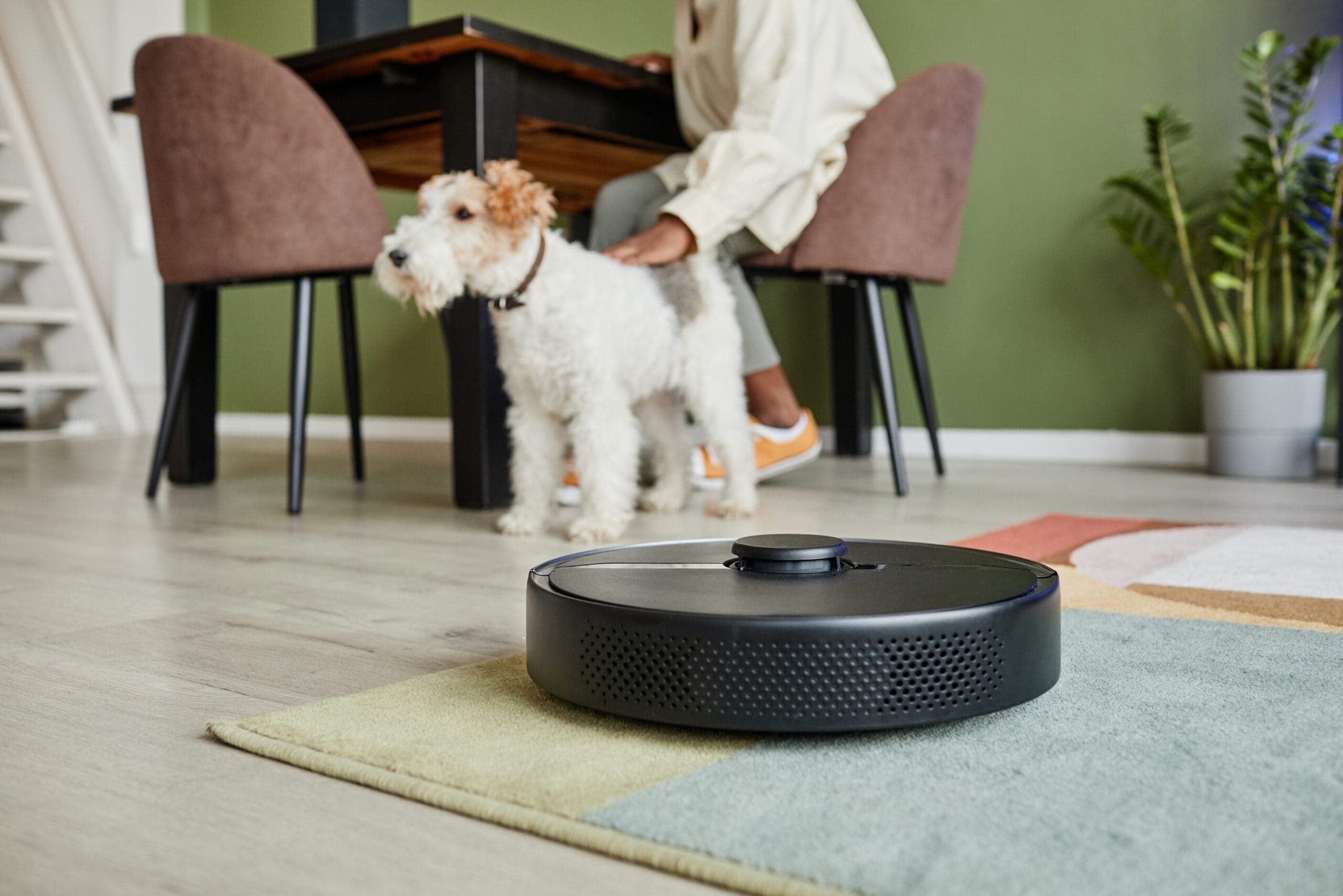 Best Robot Vacuum for Dog Hair In 2025