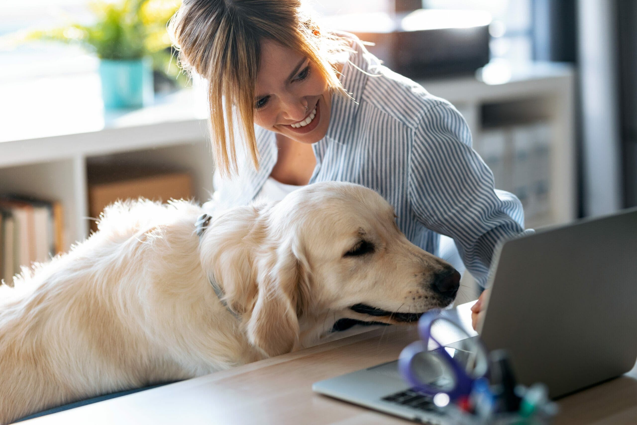 8 Ways to Keep Your Dog Entertained While You Work From Home