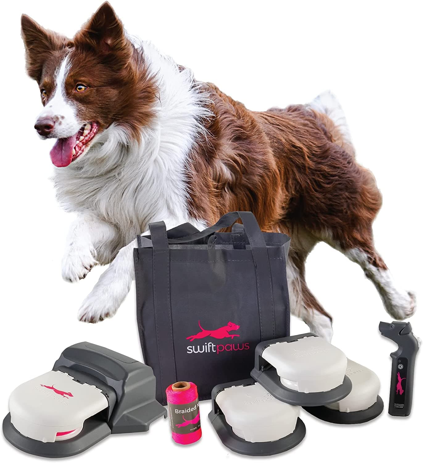 Capture the flag with swiftpaws