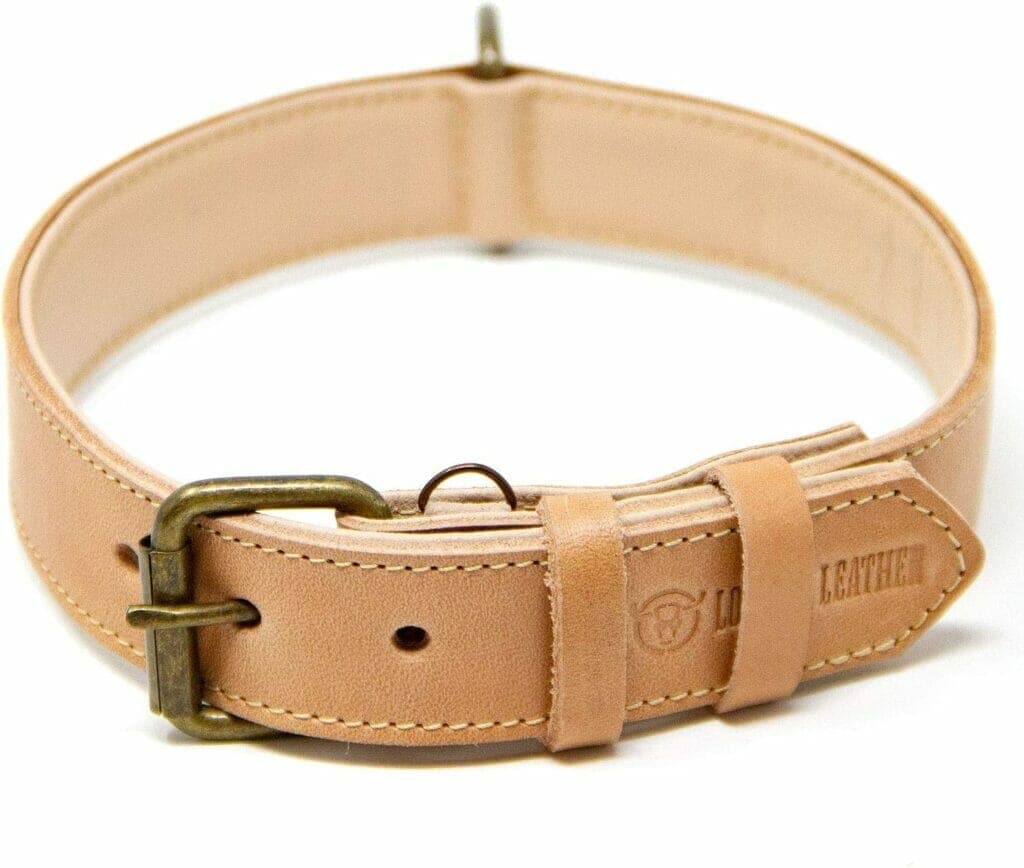Tan / beige collar