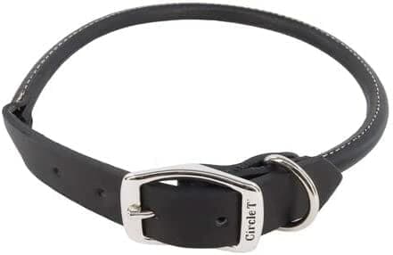 Coastal – Circle T Leather Dog Collar