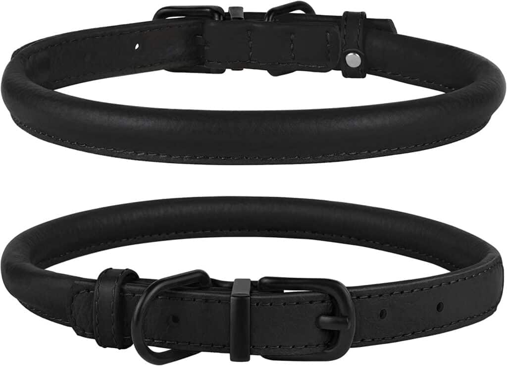 Bronzedog Rolled Leather Dog Collar