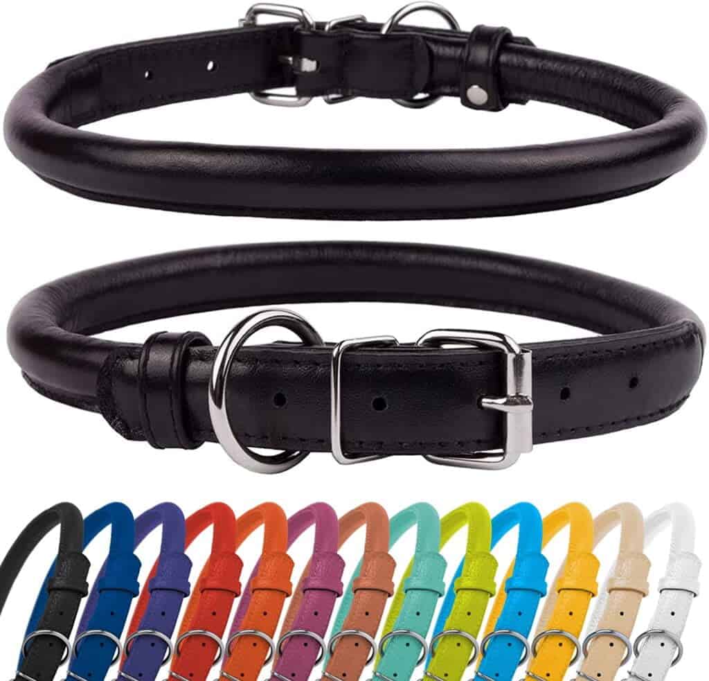 CollarDirect Leather Dog Collar