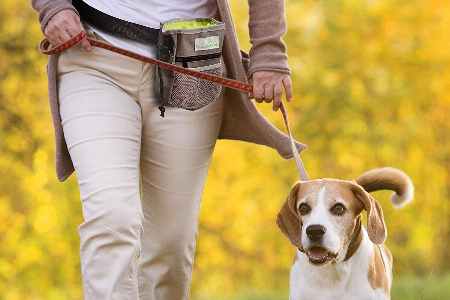 5 Best Dog Training Fanny Packs / Pouches In 2025