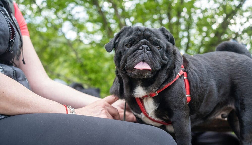 What Is The Best Choice?