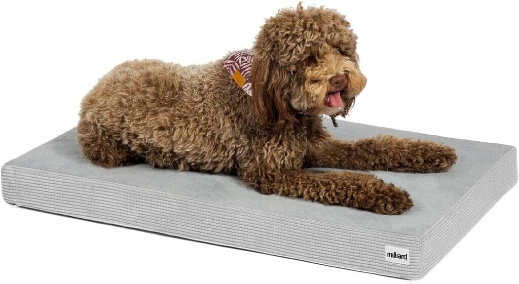 Milliard Memory Foam Dog Bed