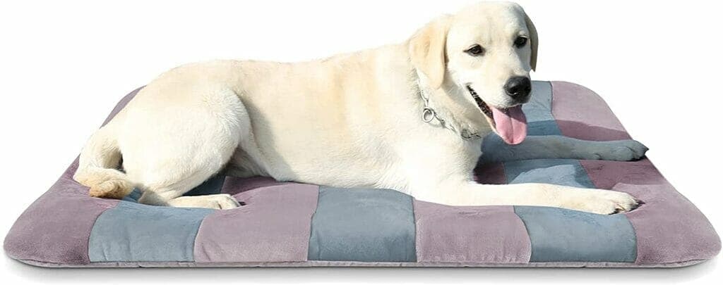 Joicyco dog Bed Sleeping Mat