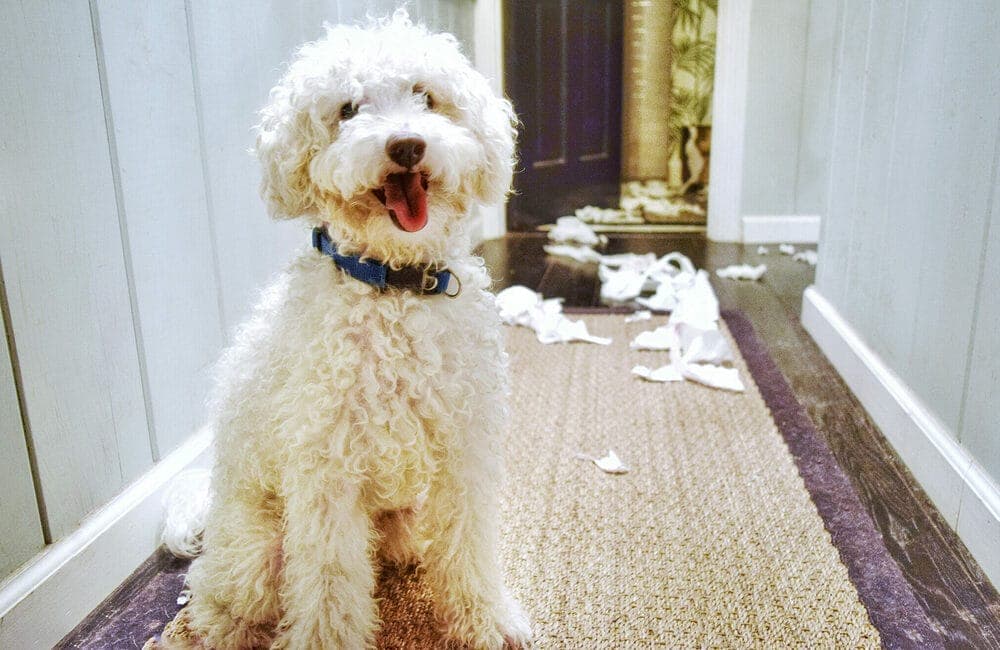 Make the trash can unreachable