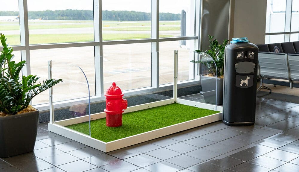 Use The Airport Toilet