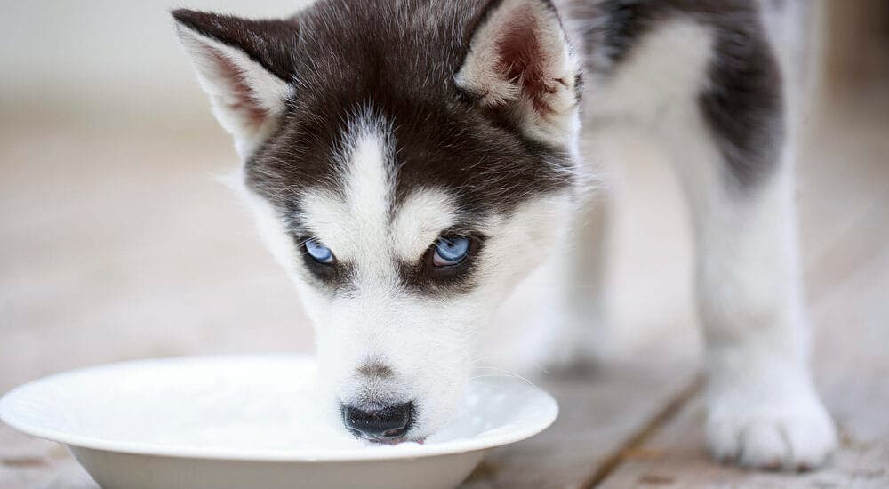 Use a water additive