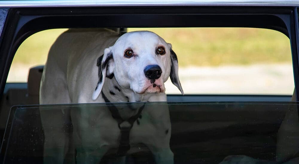 Keep the boot well ventilated