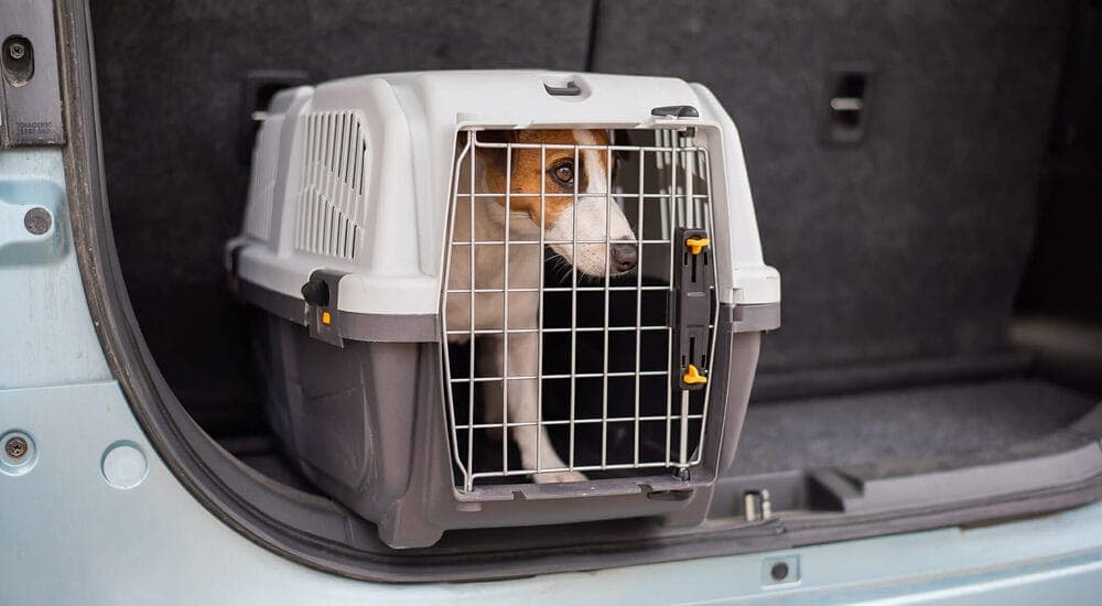 Make sure there is enough room