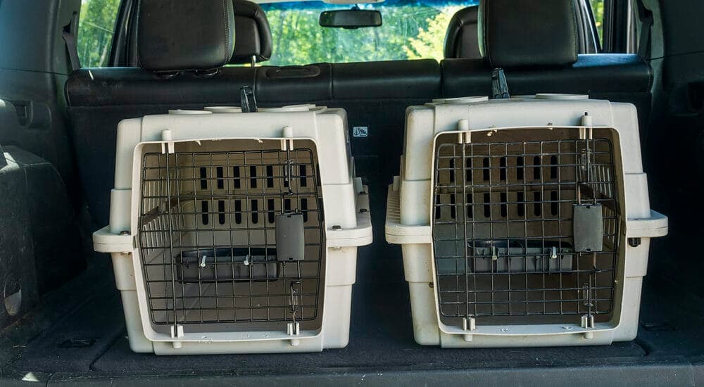 Tying down the crate