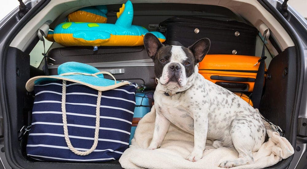 Fill the boot with other items