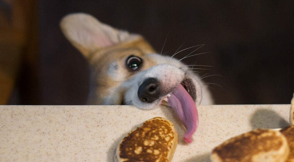 Remove Access to Inappropriate Items