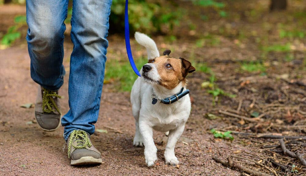 Prevention of Rope Burn Infection