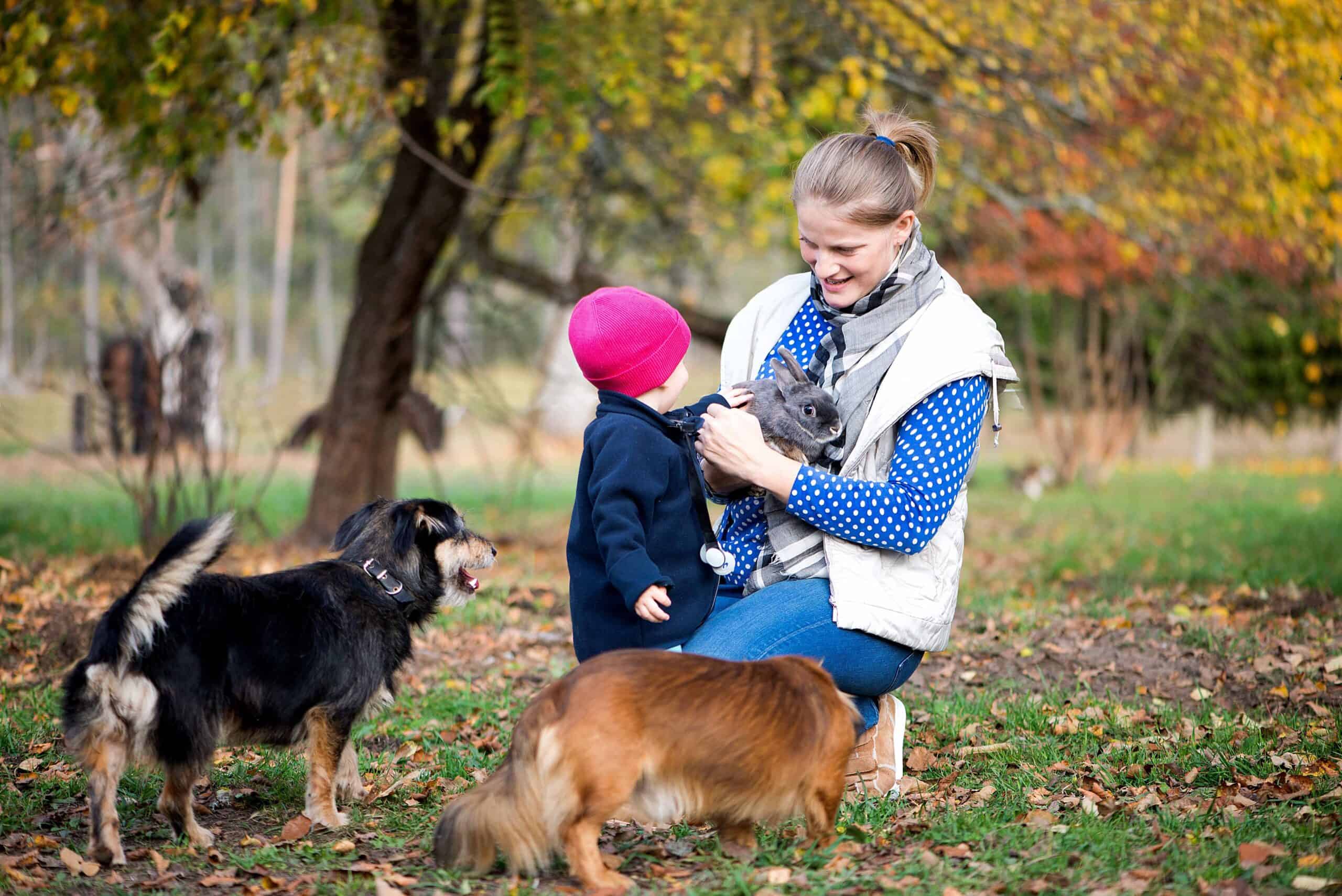 Are Dogs Scared of Rabbits?