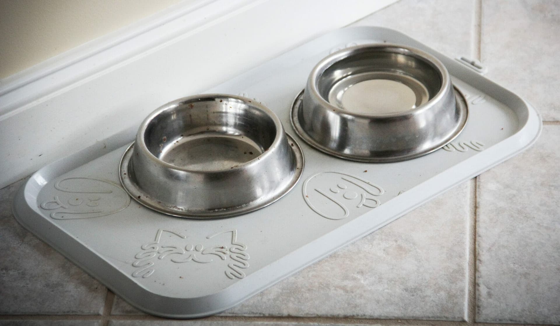 Best Mat To Put Under Dog Water Bowl: 5 Options