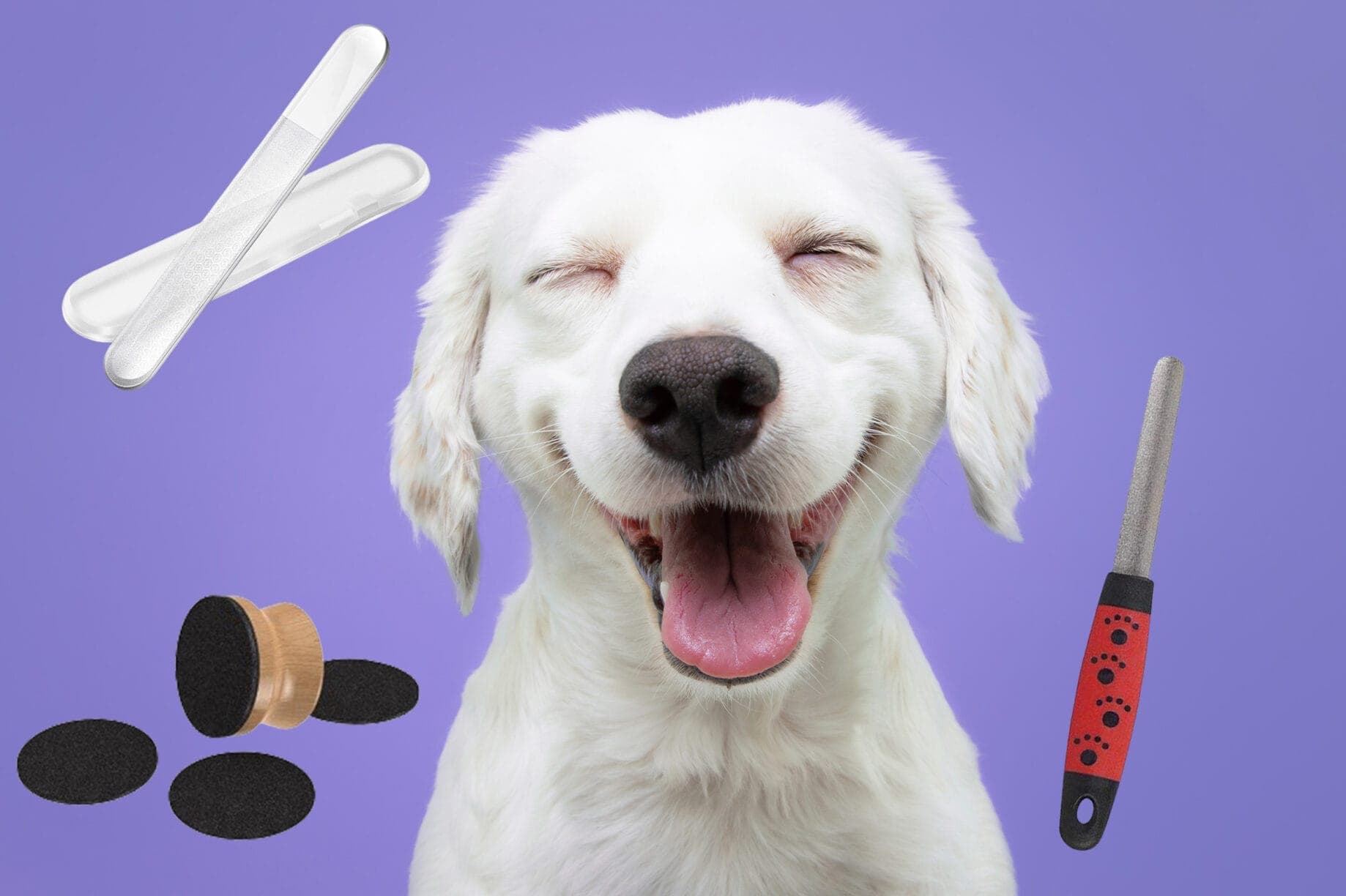 5 Best Nail Files for Dogs: A Comprehensive Buyer’s Guide