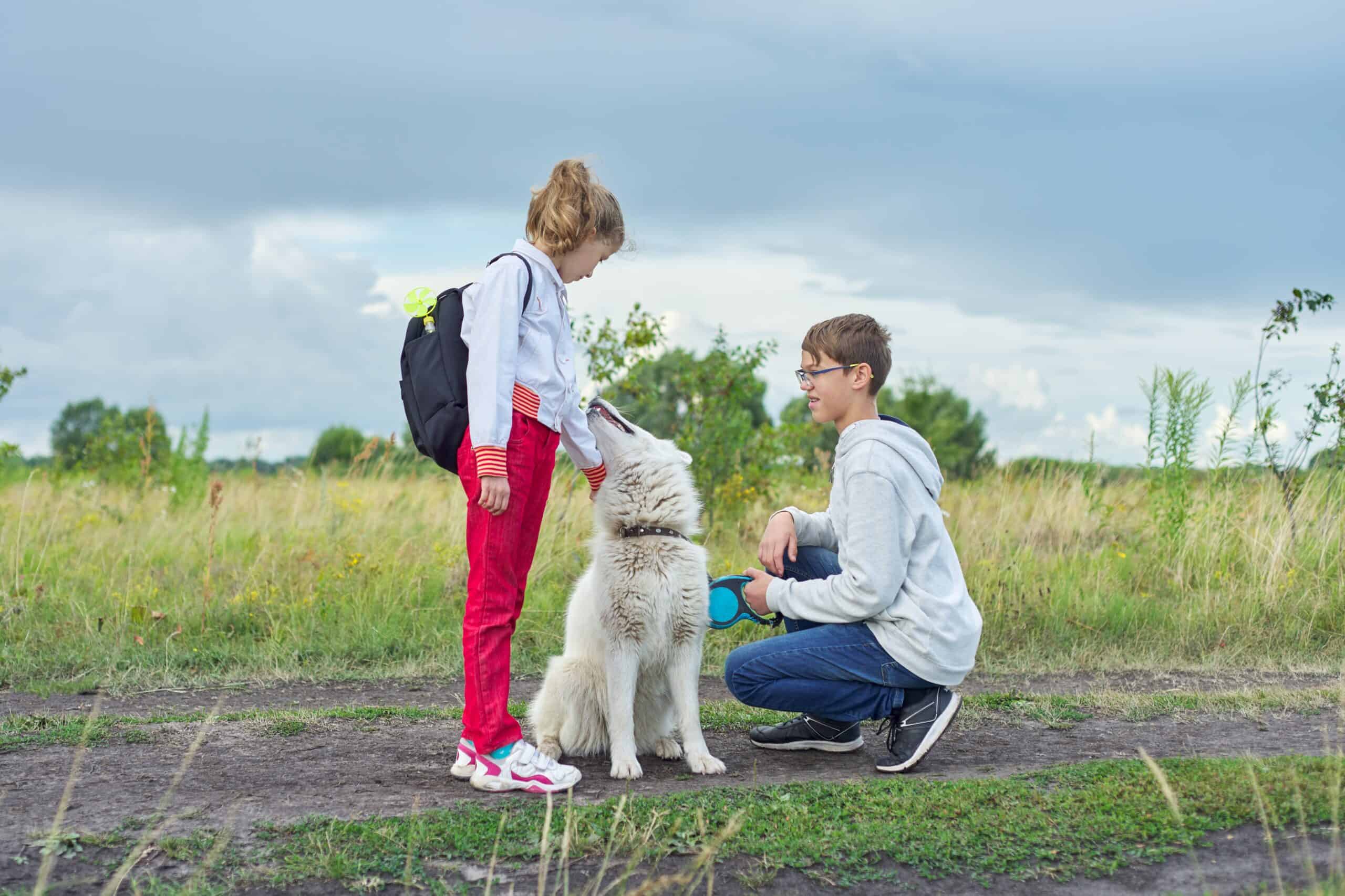 5 reasons your dog will only walk with one person