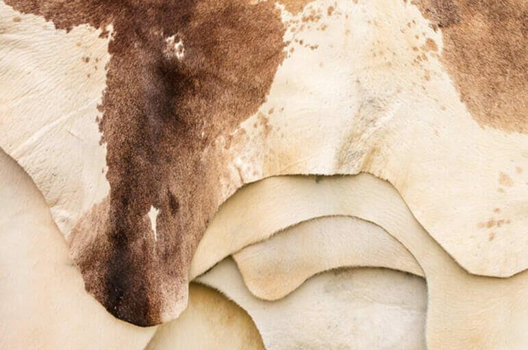 How to clean dog urine/poop from a cowhide rug in 5 steps