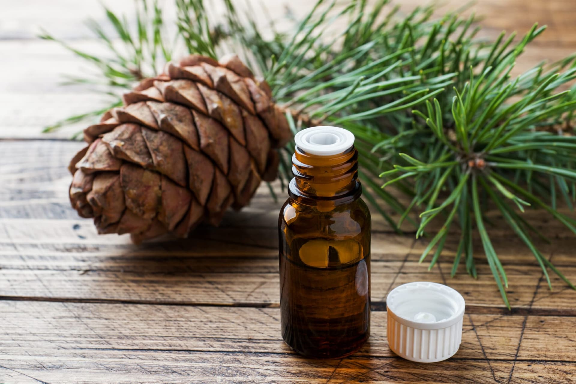 How To Dilute Cedarwood Oil For Dogs? (+Benefits Of Cedarwood Oil)