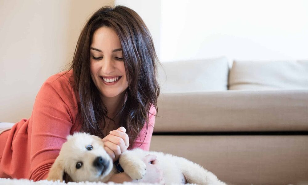 What to do when you bought the wrong food? What to do when you bought the wrong food?