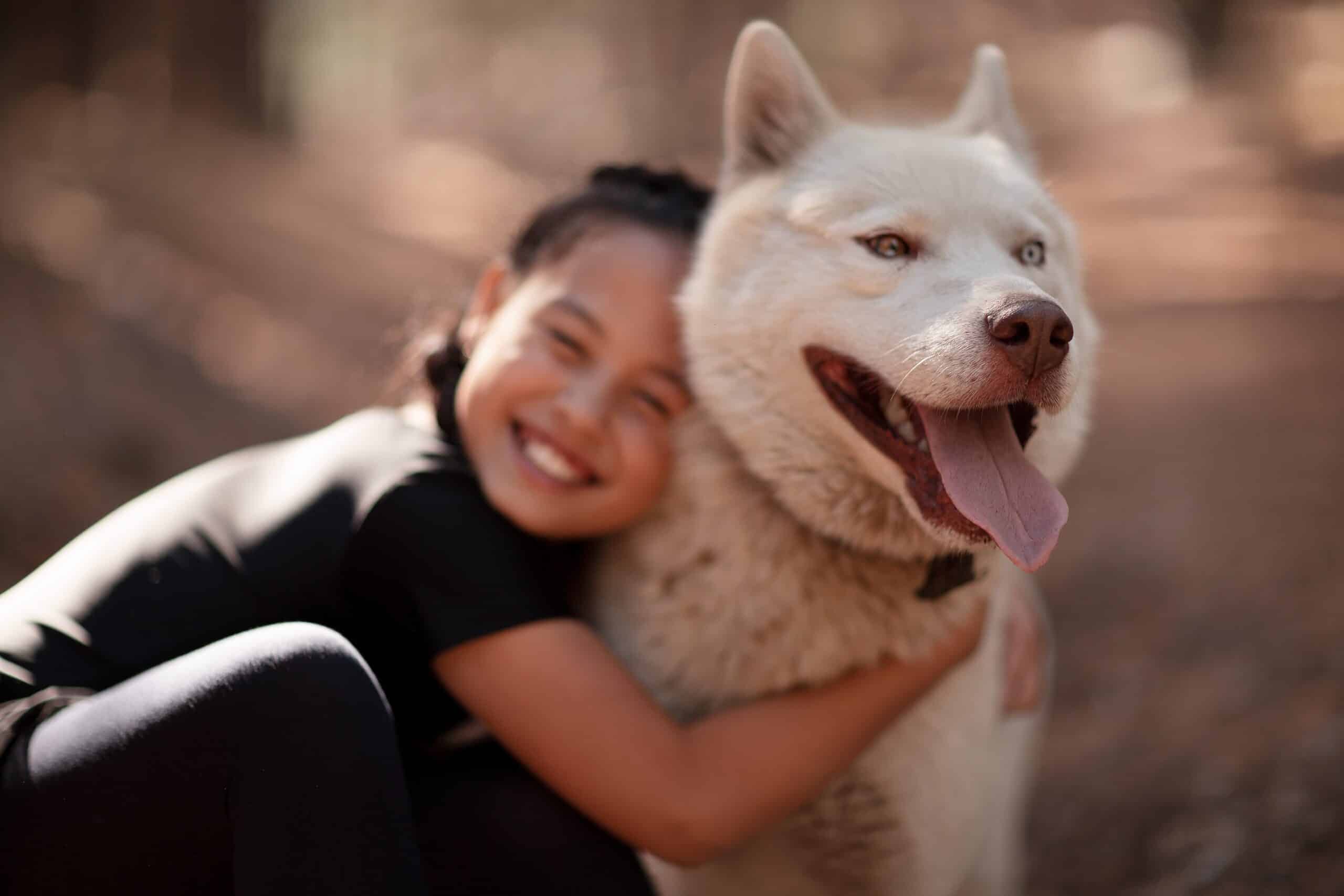 Which breed is best husky vs akita