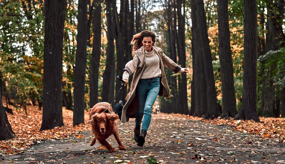 What makes a bungee leash different than a regular leash? What makes a bungee leash different than a regular leash?