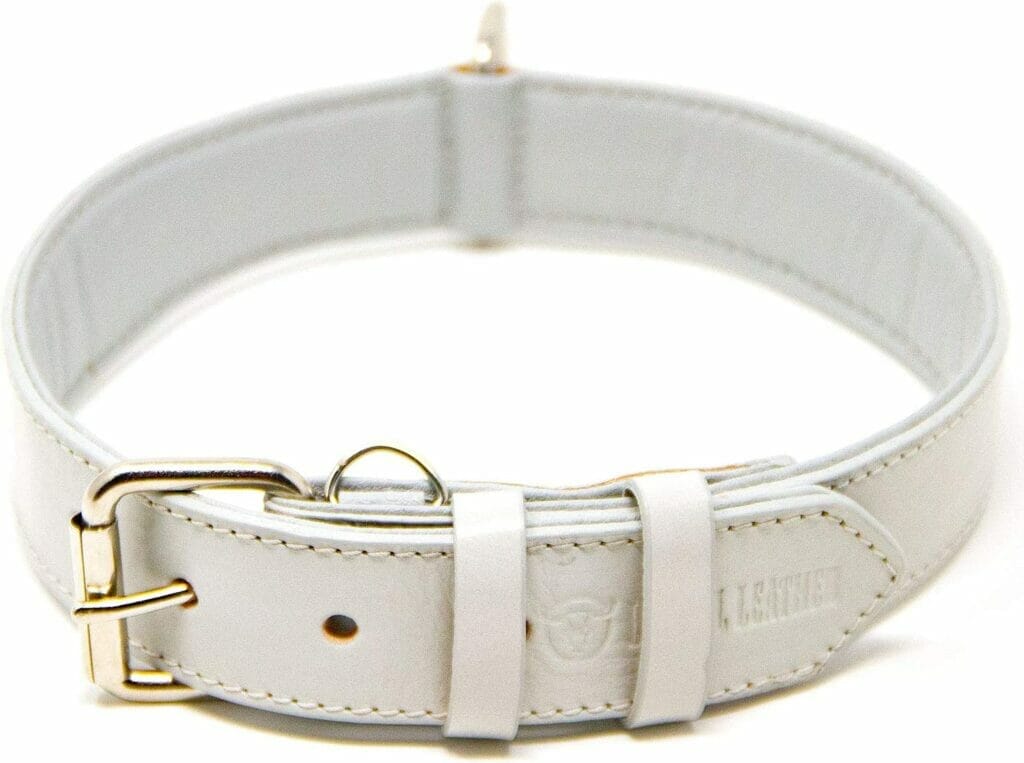 Bright white / cream collar