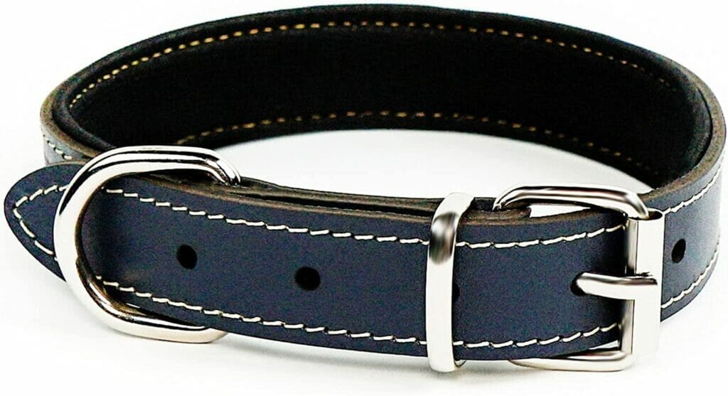 Black / navy blue collar