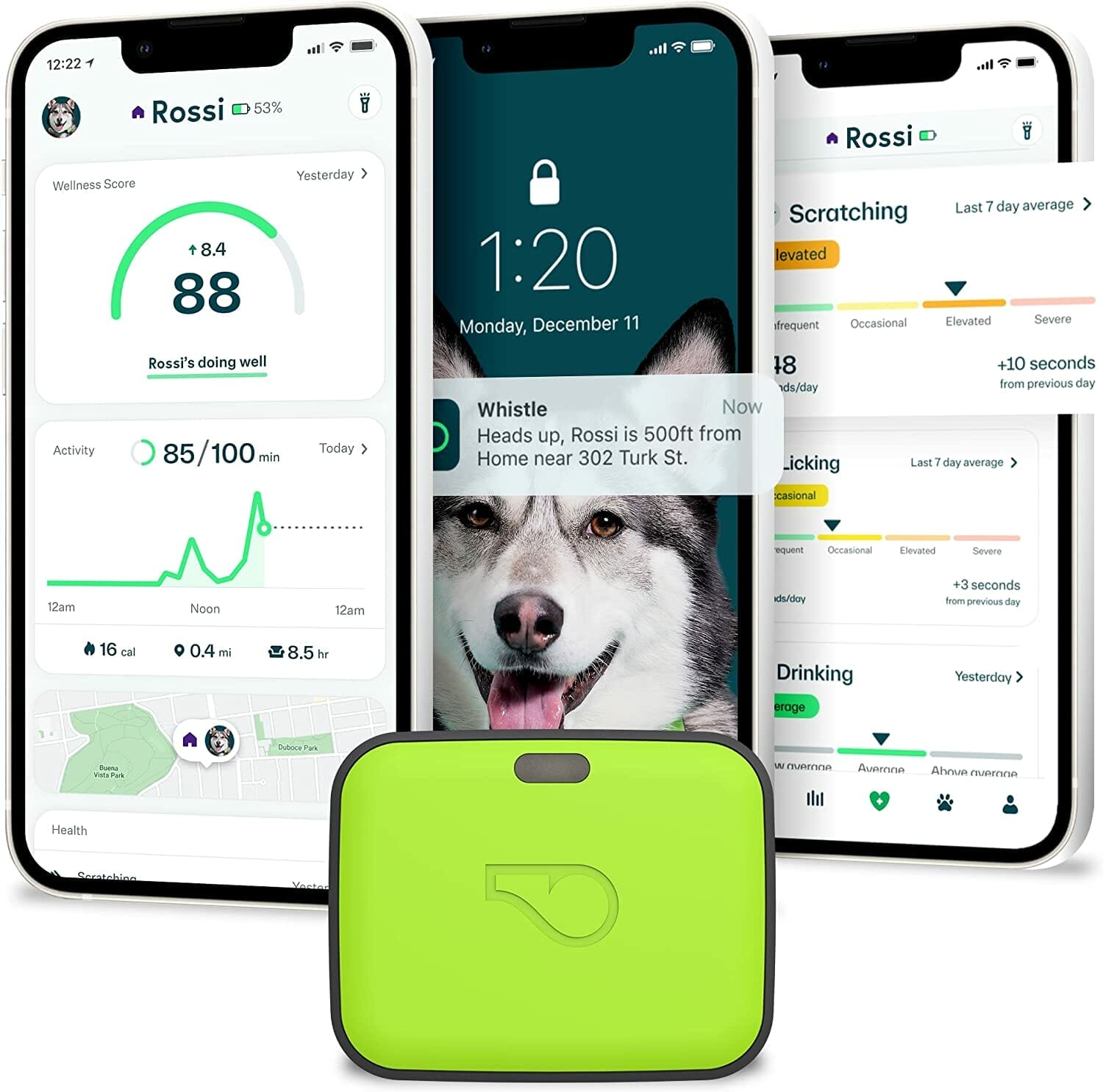 Whistle GO Explore GPS + Fitness Dog Tracker