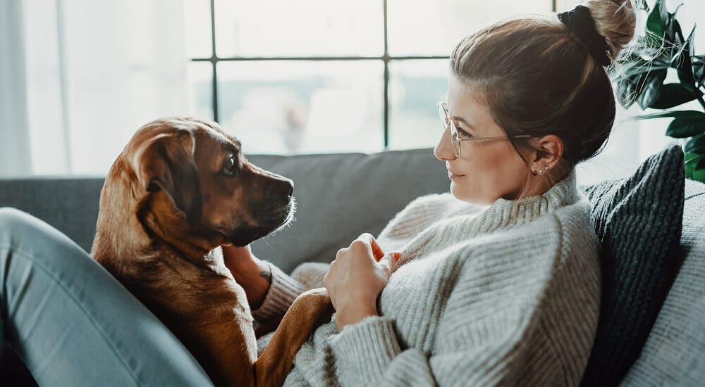 Why are grain-free dog treats better for your dog? Why are grain-free dog treats better for your dog?