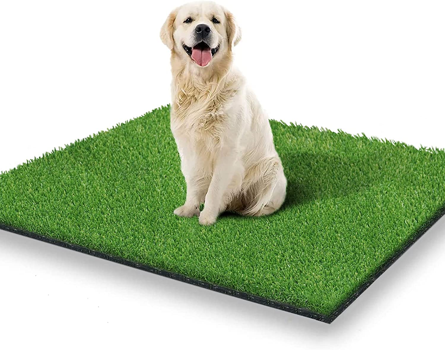 Artificial Turf Grass