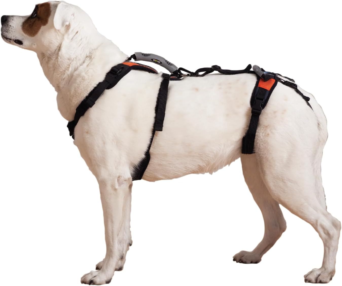 Help 'Em Up Dog Lift Harness