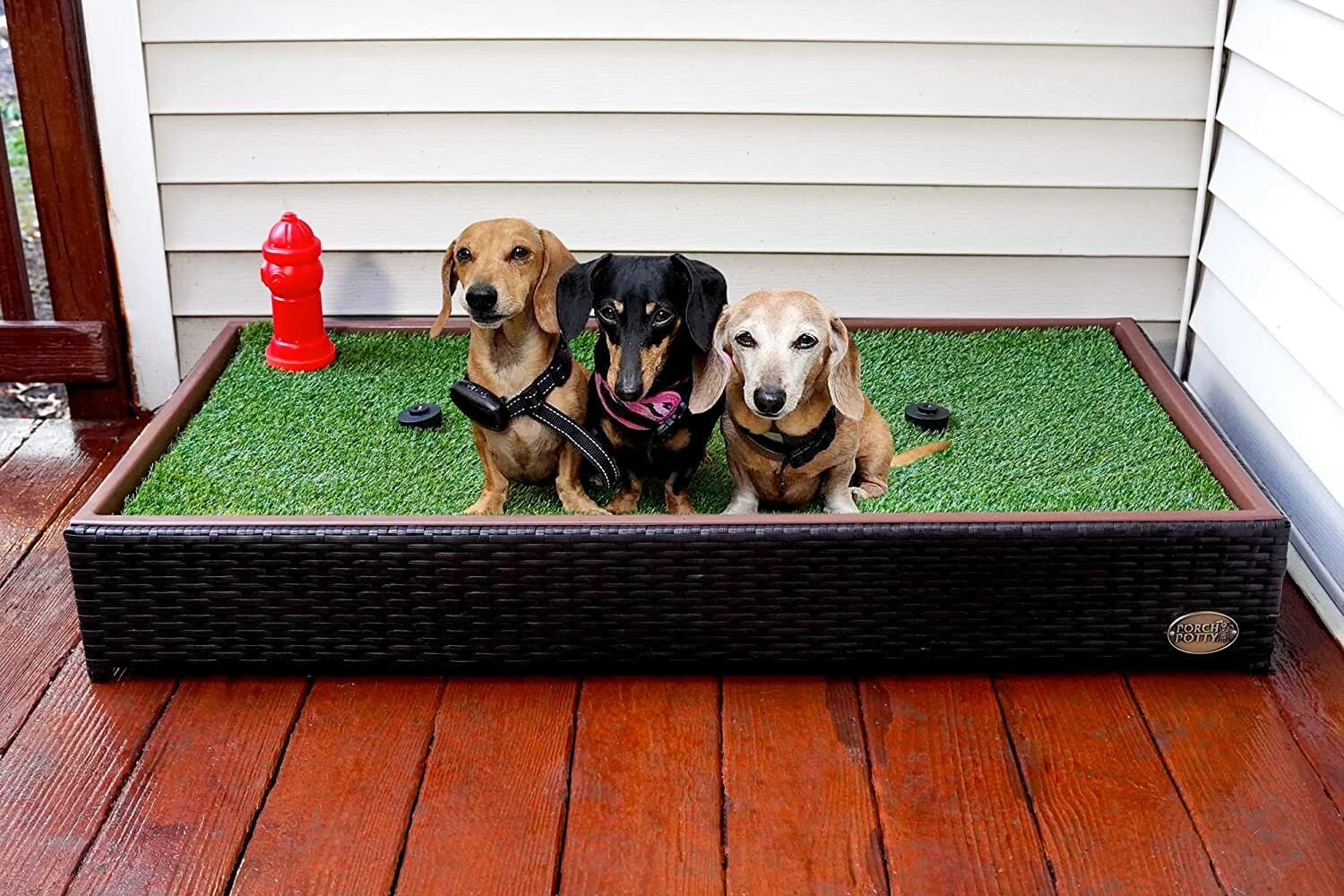 Porch Potty Premium with Spinklers