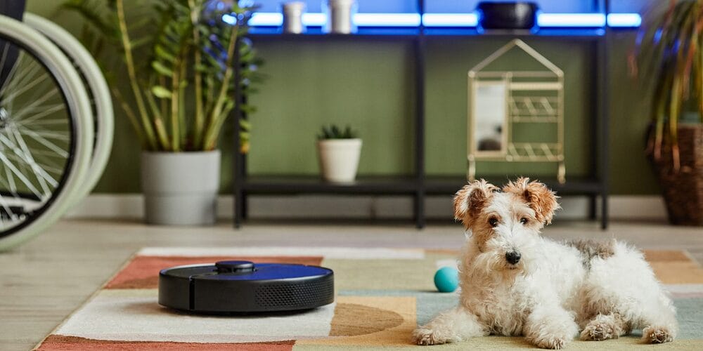 Pet Compatibility Pet Compatibility