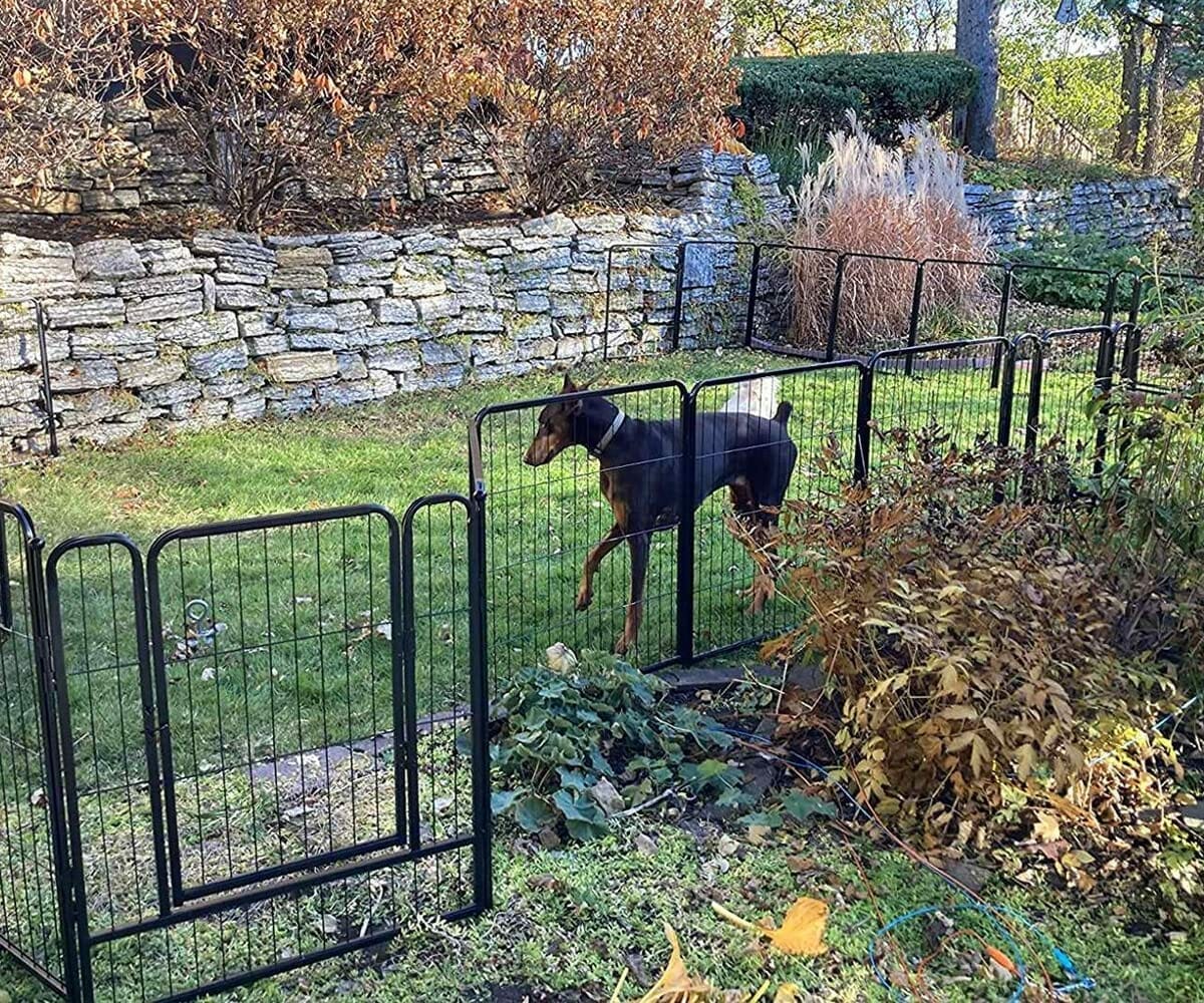 FXW Heavy Duty Metal Fence