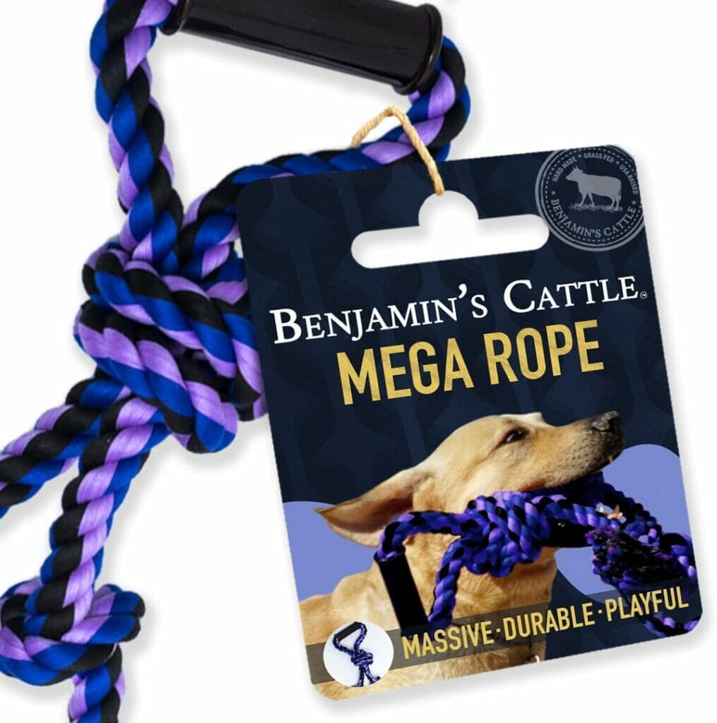 Benjamin's Cattle - Dog Rope