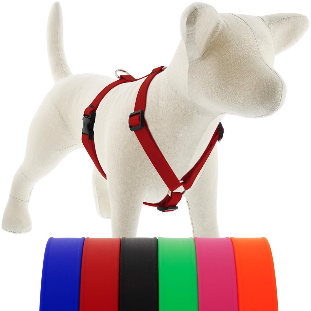 Lupine Splash Waterproof Dog Harness