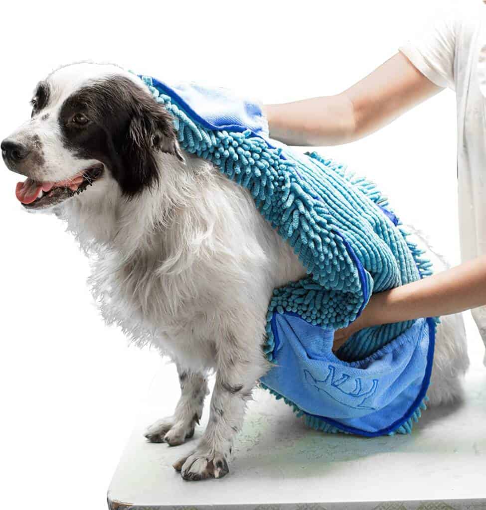 Drying Your Dog