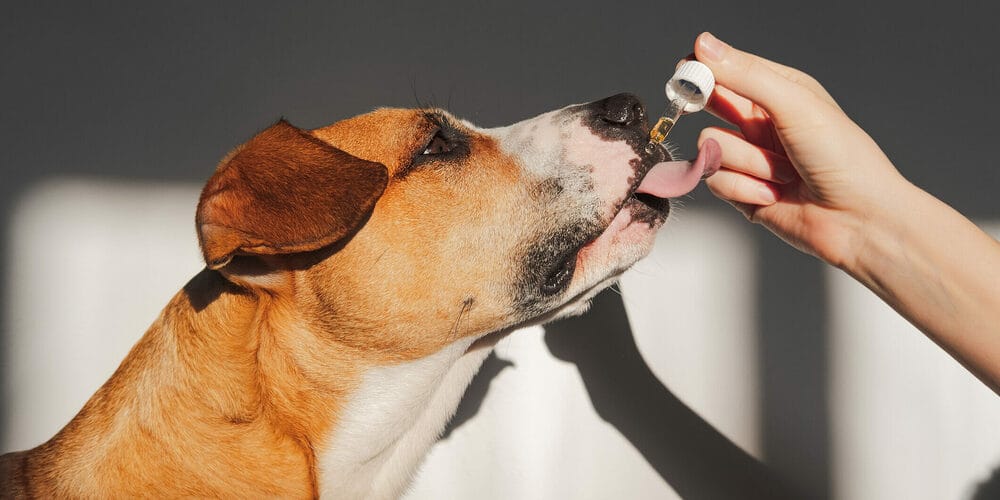 Effects of Medication Effects of Medication