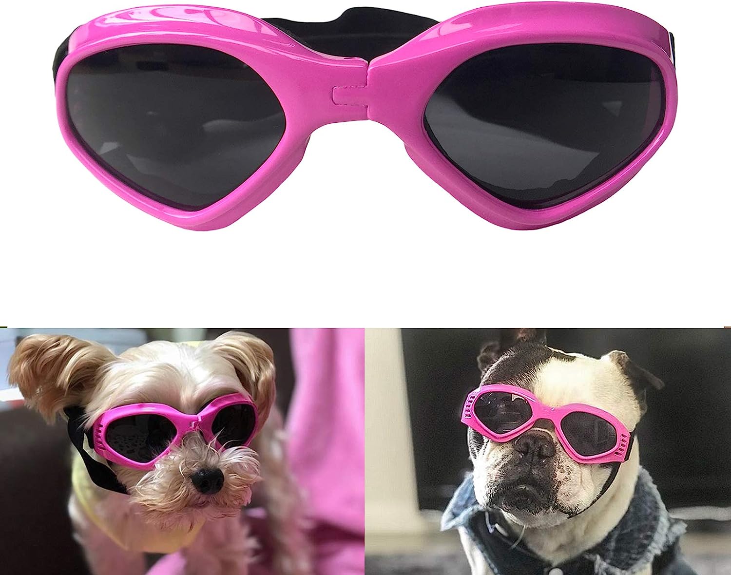 Enjoying Dog Goggles