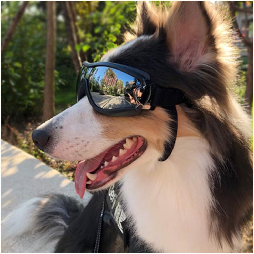 Nacoco Pet Anti-UV Glasses