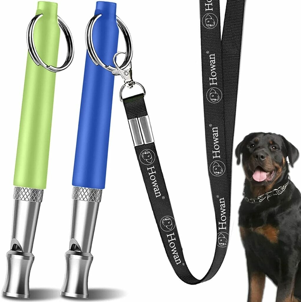 A high-pitch whistle