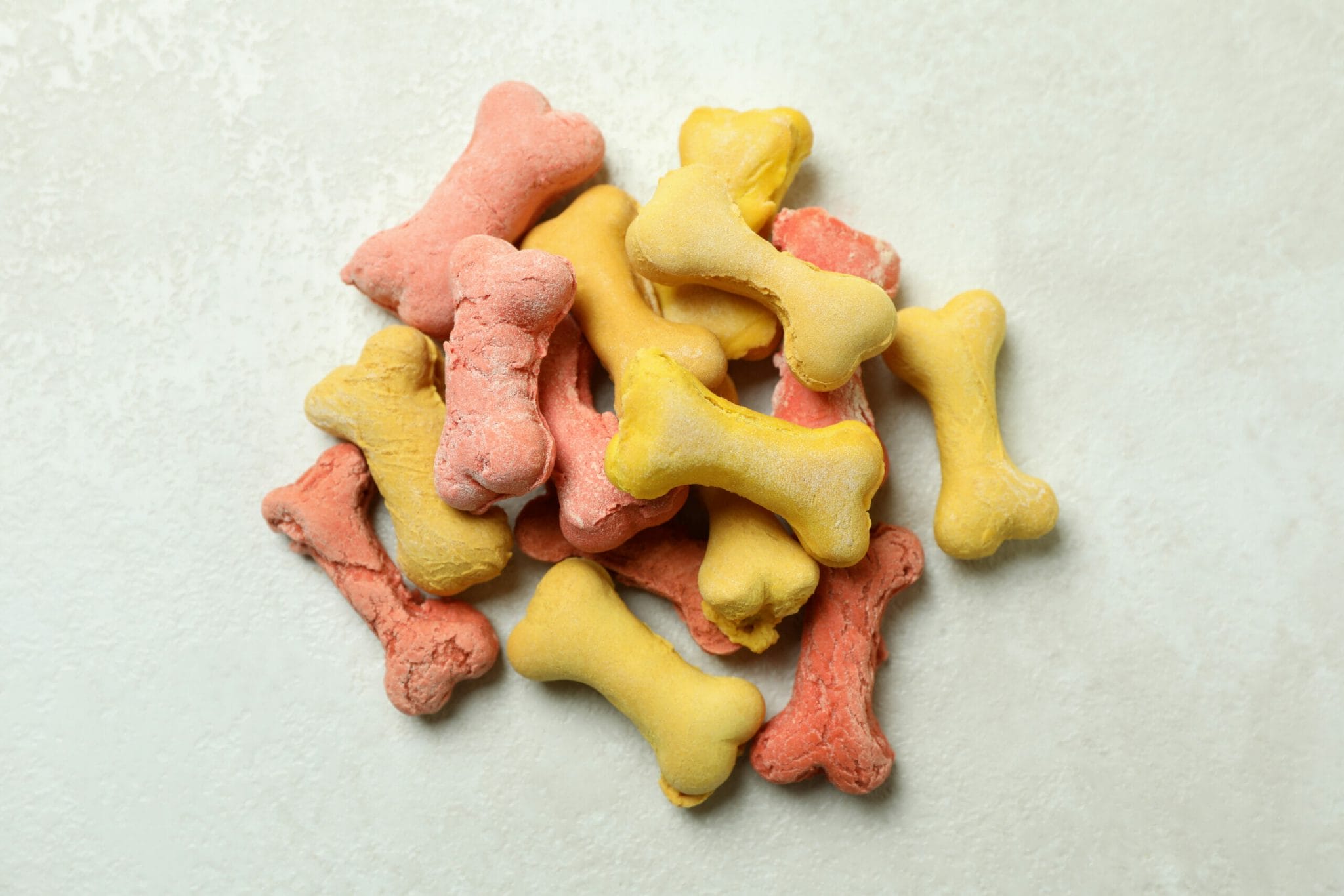 How do dogs get food out of Kong