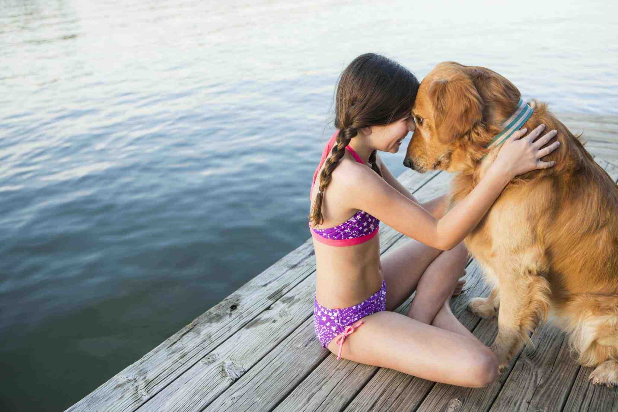 Temperament of the dog